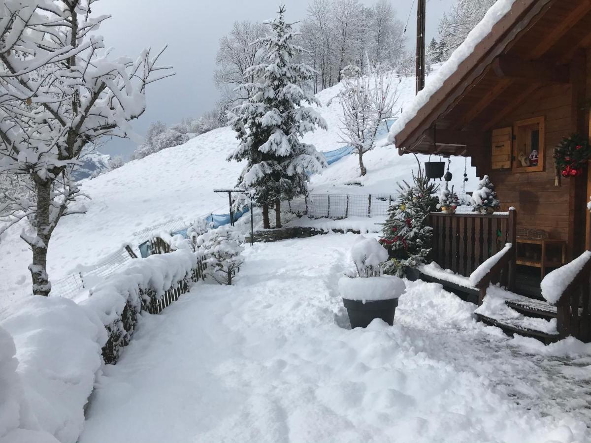 Le Blanc Nordique Villa Le Bouchet-Mont Charvin Kültér fotó