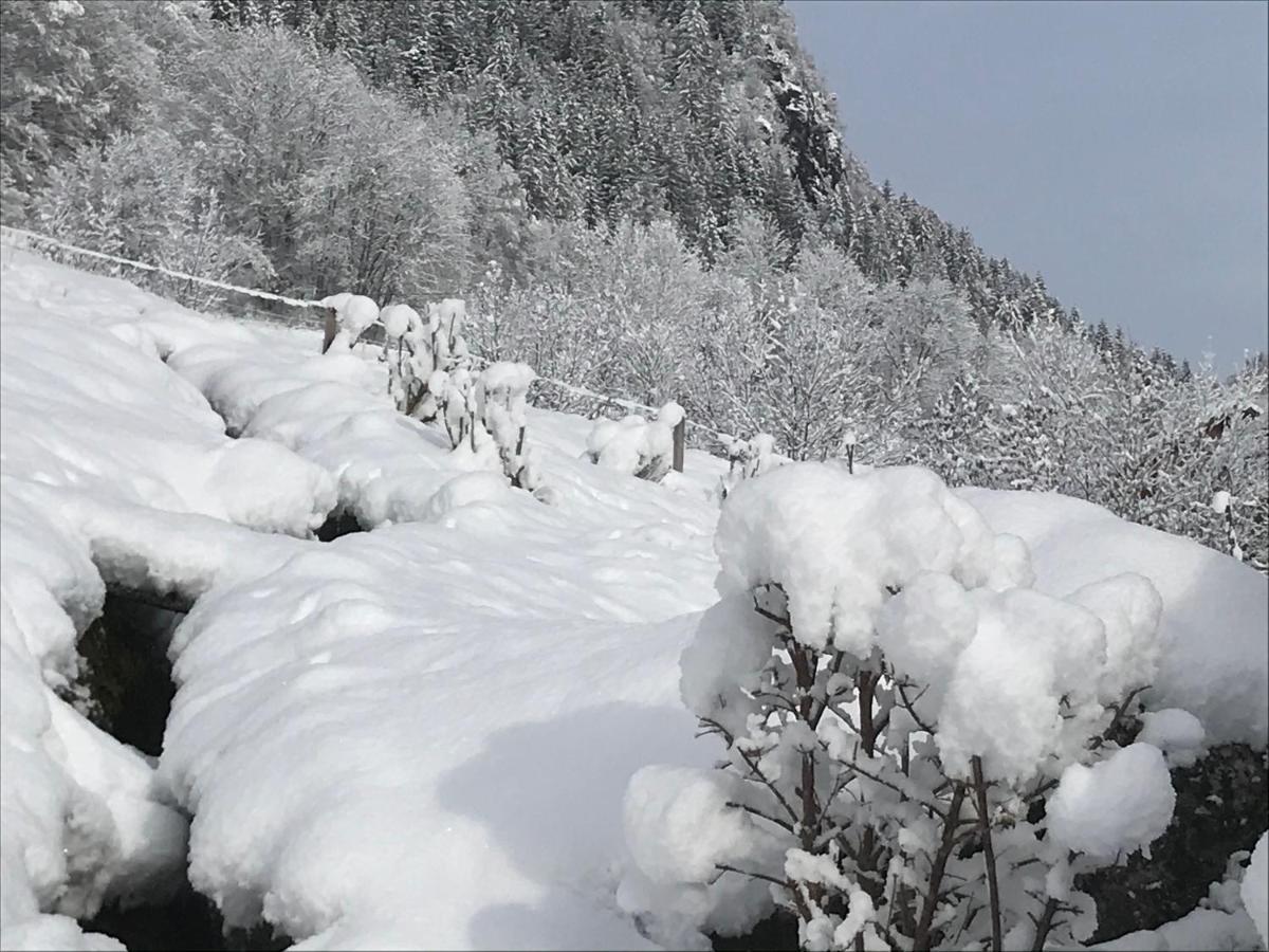 Le Blanc Nordique Villa Le Bouchet-Mont Charvin Kültér fotó