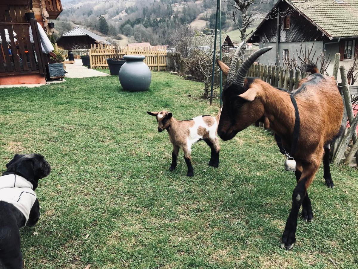 Le Blanc Nordique Villa Le Bouchet-Mont Charvin Kültér fotó