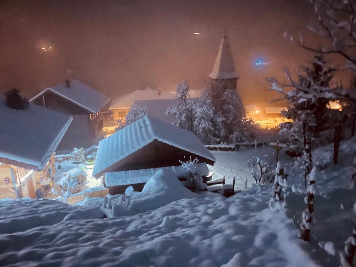 Le Blanc Nordique Villa Le Bouchet-Mont Charvin Kültér fotó