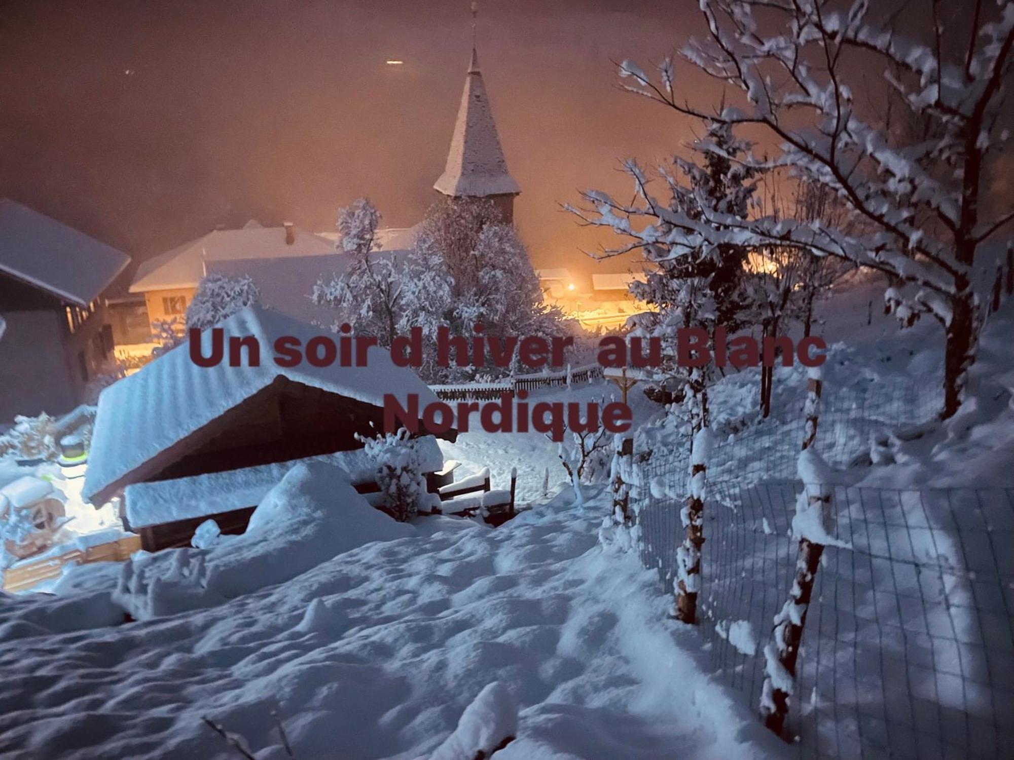 Le Blanc Nordique Villa Le Bouchet-Mont Charvin Kültér fotó